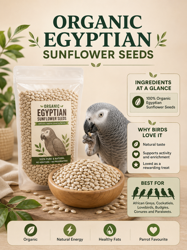 Organic Egyptian Sunflower Seeds – Bird Treat
