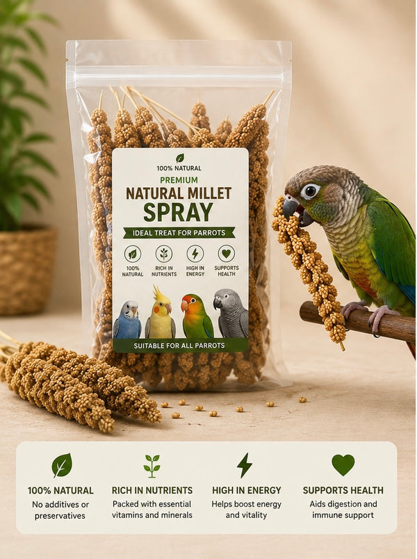 Natural Millet Spray – Hanging Bird Treat