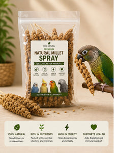 Natural Millet Spray – Hanging Bird Treat