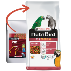 NutriBird P19 Tropical Sowing Food