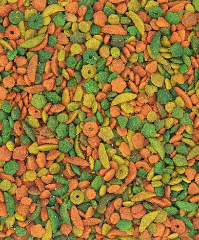 NutriBird P19 Tropical Pellets
