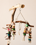 Hanging Bird Play Stand with Toys