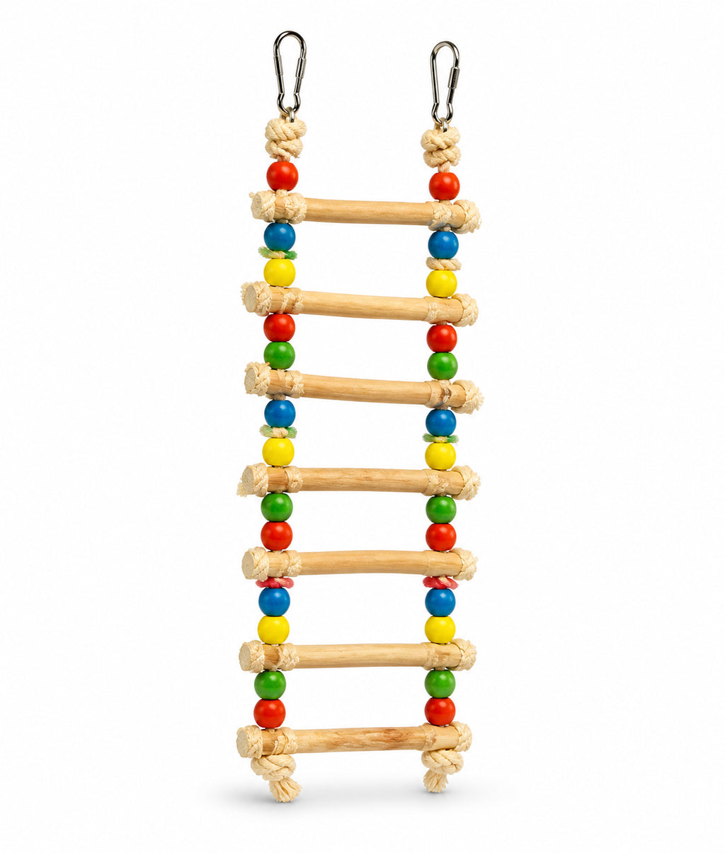 Colorful Bird Foraging Toy - Interactive Parrot Enrichment