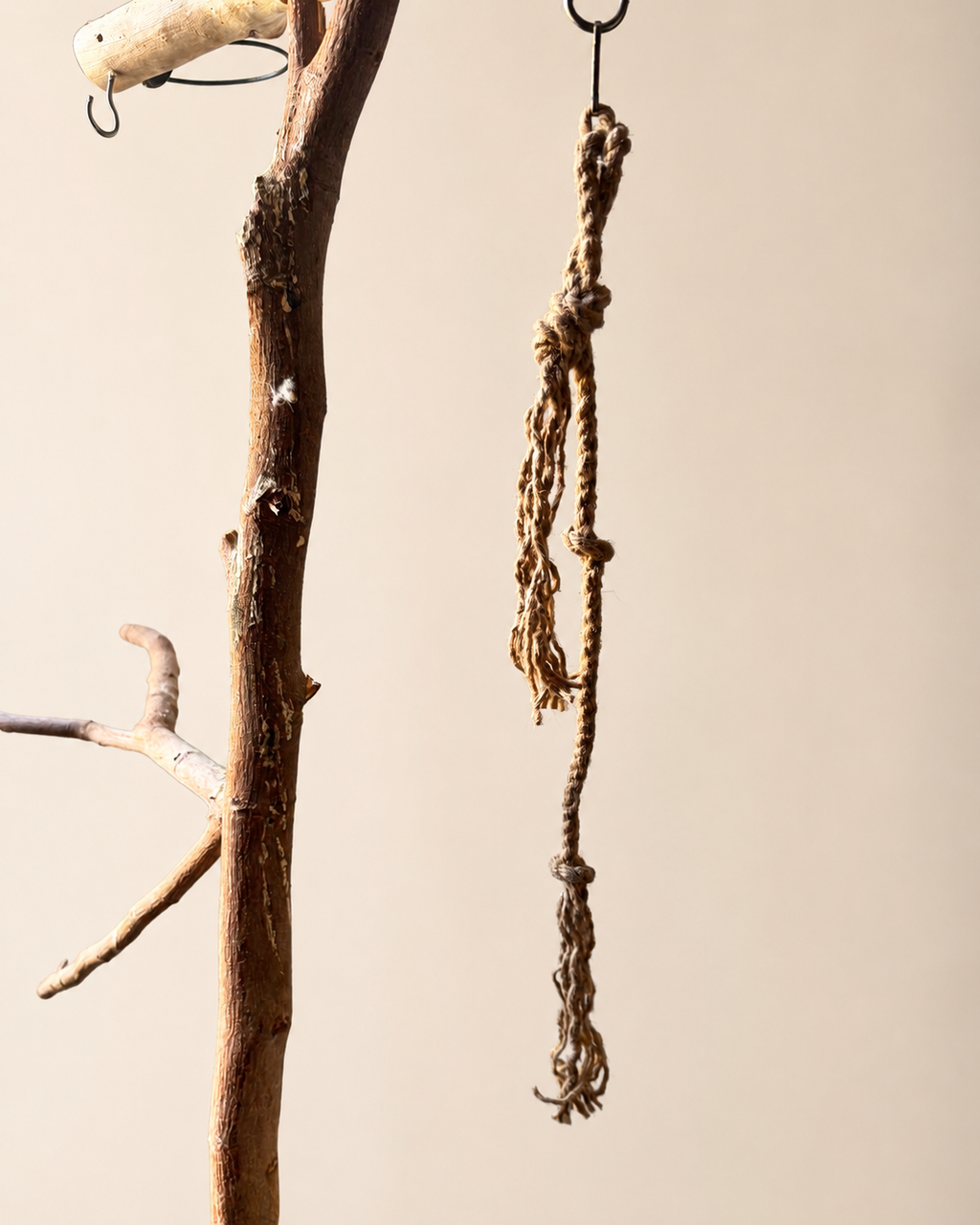 Handcrafted Natural Wood Bird Play Stand with Rope Toy