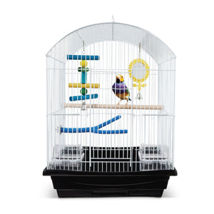Complete Parrot Starter Kit - Everything Your New Bird Needs