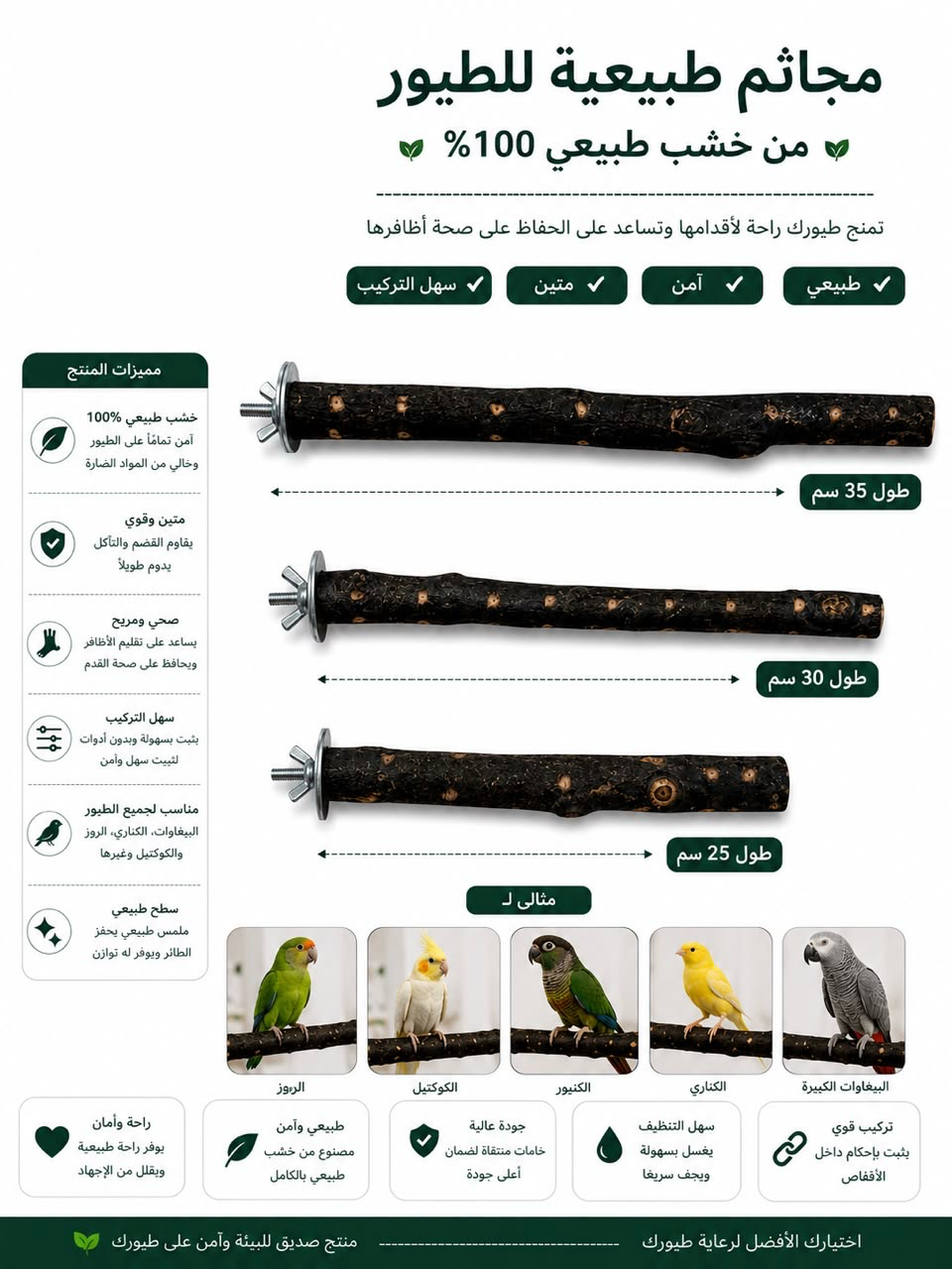 طائر مجاثم طبيعي 100%