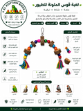 Colorful Bird Toy