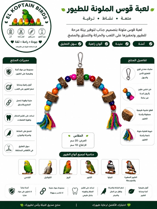 Colorful Bird Toy