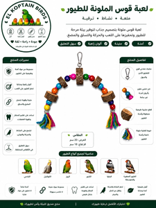 Colorful Bird Toy