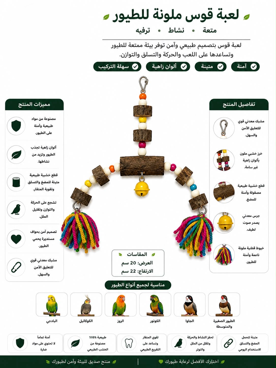 ملونة قوس لعبة للطيور