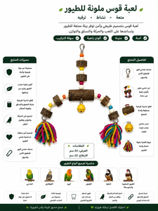 ملونة قوس لعبة للطيور