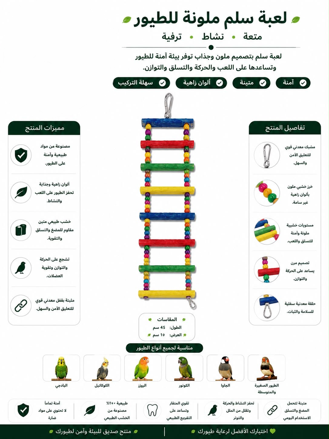 ملونة سلم للطيور