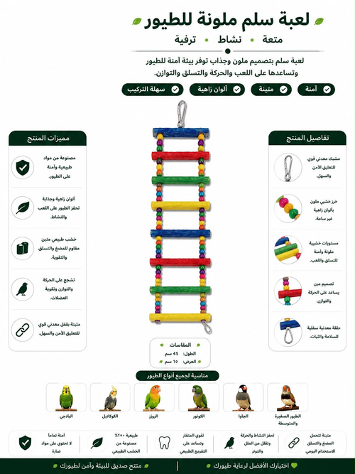 Colorful Bird Ladder Toy - Climbing Play for Parrots