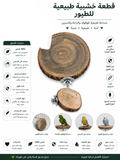 Natural Wooden Perch for Birds