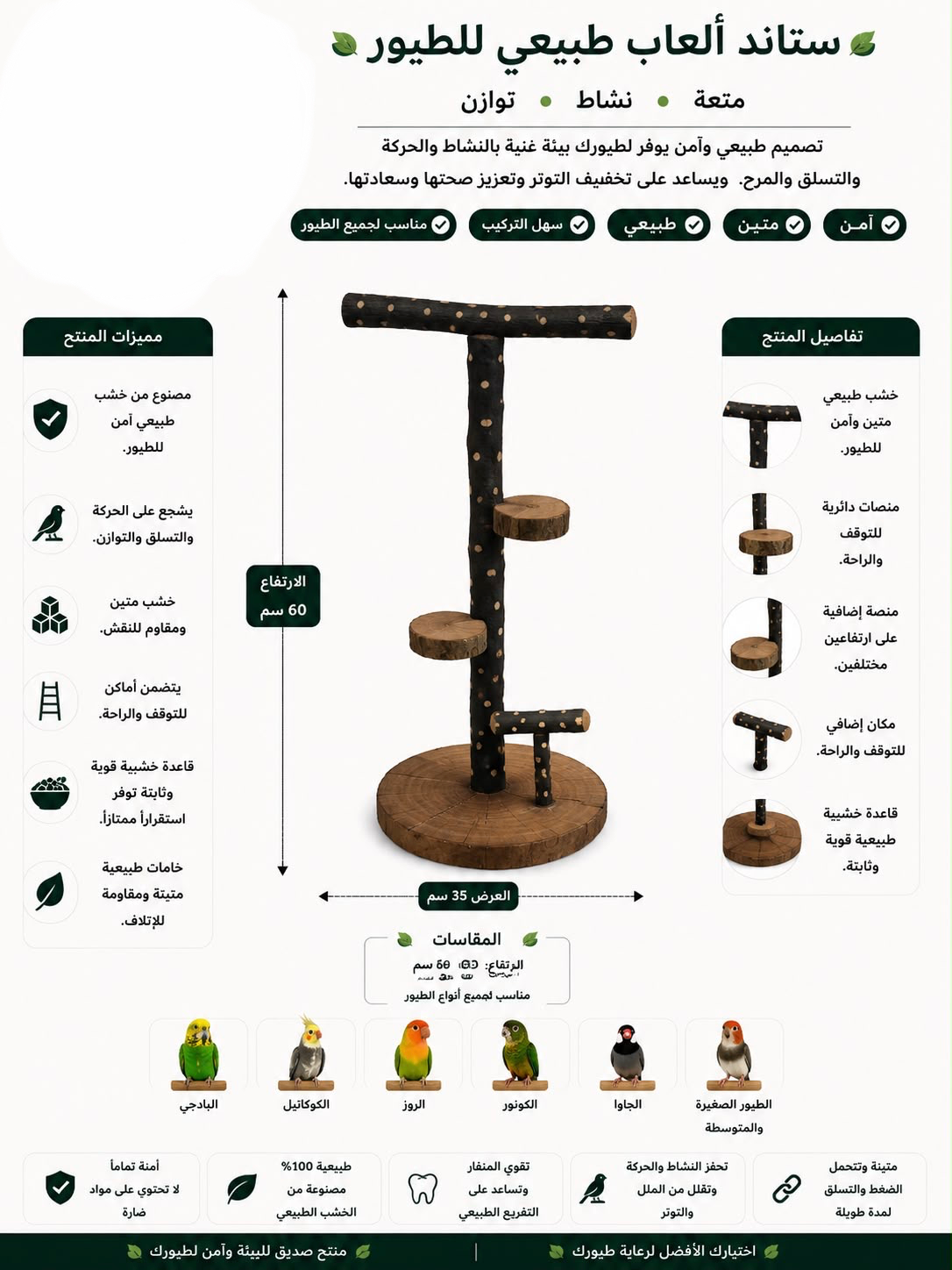 Natural Wooden Bird Play Stand - Tree Gym with Perches & Platforms