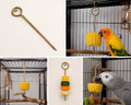 Metal hanging food skewer holding corn and fresh vegetables for parrots
