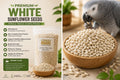Organic Egyptian Sunflower Seeds