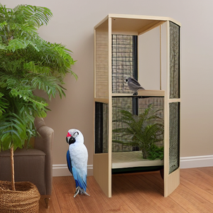 Parrot Hotel - Boarding