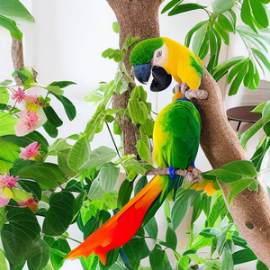 Parrot Hotel Plus