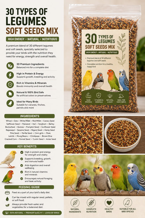 Premium 30 Seed Soft Food Mix