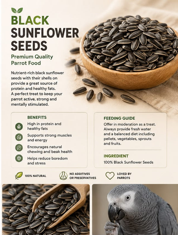 Premium Black Sunflower Seeds