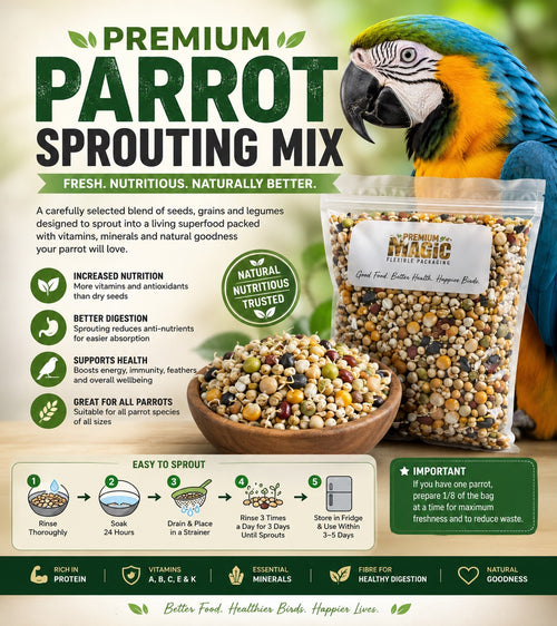 Premium Parrot Sprouting Mix – Seeds, Grains & Legumes