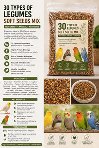 Premium Whole Oats for Parrots